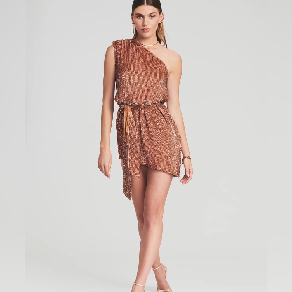 Retrofete Ella Bronze sequin dress medium in brand new condition